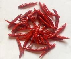 Stemless MP Teja Dry Red Chilli