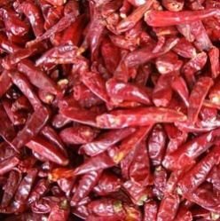 Stemless Wrinkle 273 Dry Red Chilli