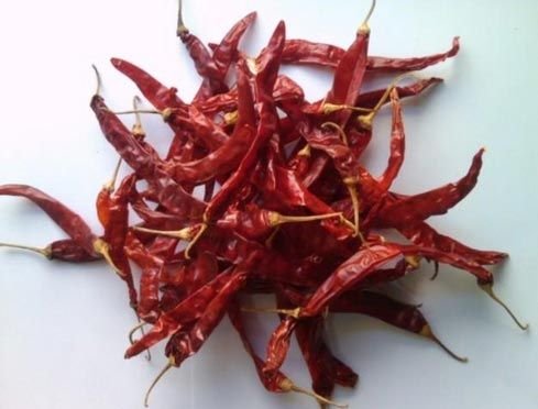 Wrinkle 273 Dry Red Chilli with Stem
