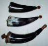 Drinking Horns 02