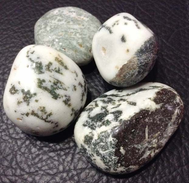 Tree Agate Pebble Stones (P019)