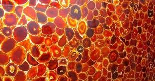 Agate Red Gem Stone Slabs