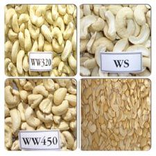 Cashew Nuts (W 180, W 240, W 320, W 450)