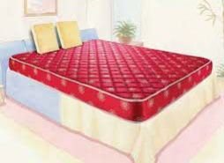 Coir Mattress Beds