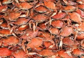 Crabs