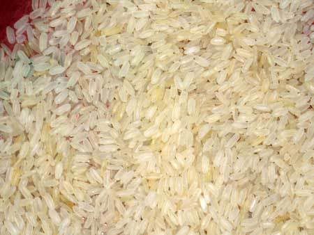 I R 8 Non Basmati Rice