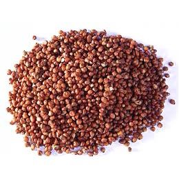 Red Sorghum Seeds