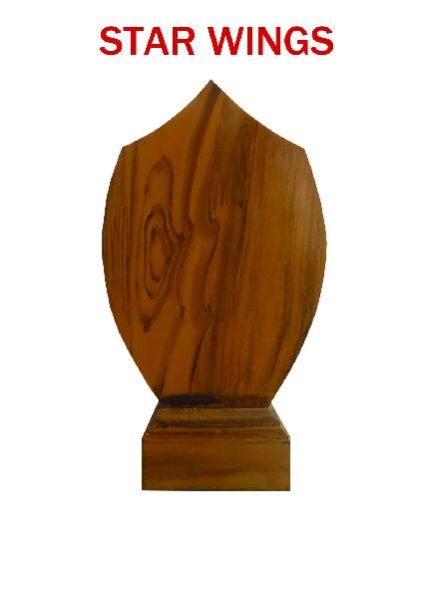 Customized Trophie (CJ1020)