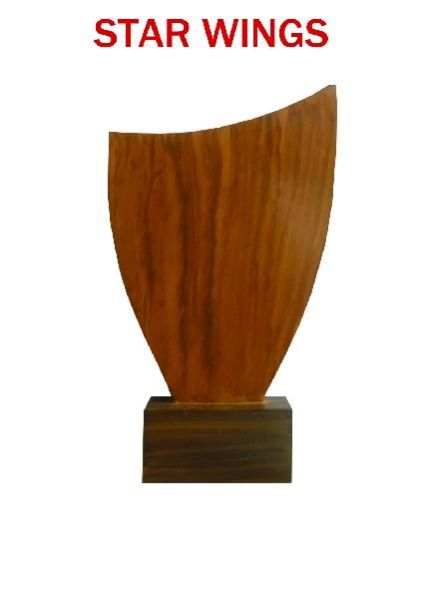 Customized Trophie (CJ1021)