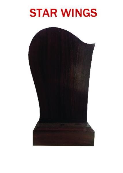 Customized Trophie (CJ1023)