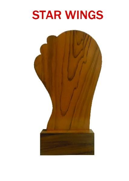 Customized Trophie (CJ1025)