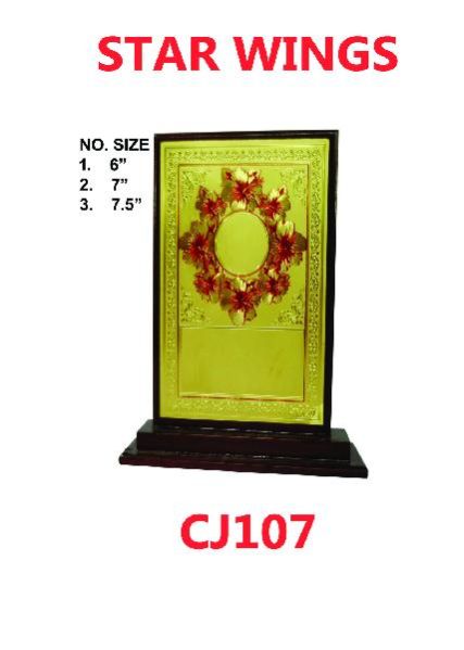 Customized Trophie (CJ107)