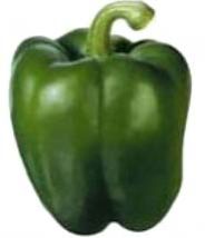 Fresh Green Capsicum