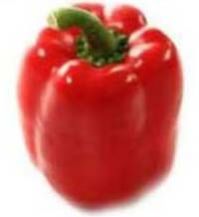 Fresh Red Capsicum