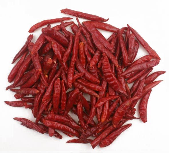 Teja Chilli