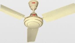 Ceiling Fan 06