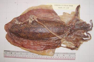 Dried Cuttlefish
