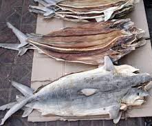Dried Shark Fish