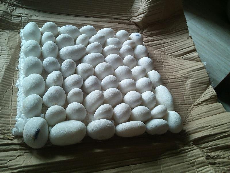 Pebble Mosaic Tiles 01