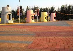 Interlock Paver Blocks 03