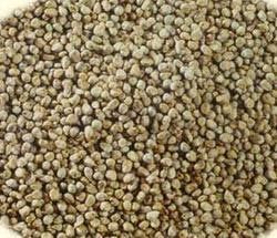 Organic Bajra Whole Seeds