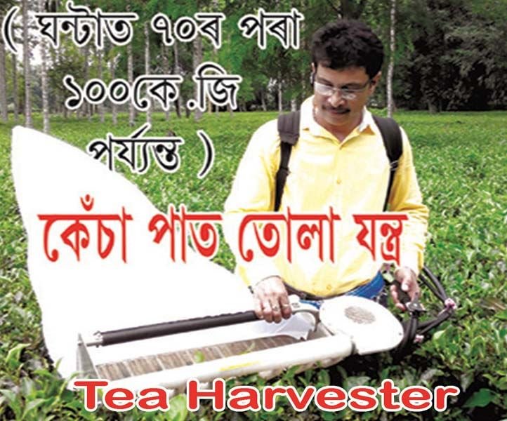 Tea Harvester 01