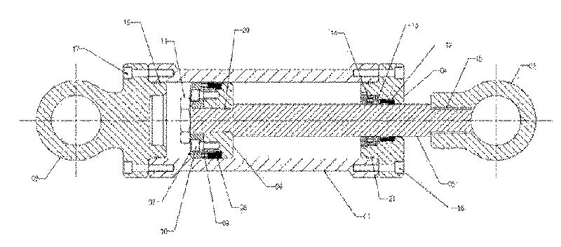 Customized Hydraulic Cylinder 03