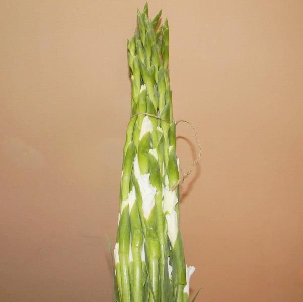 Image 01
