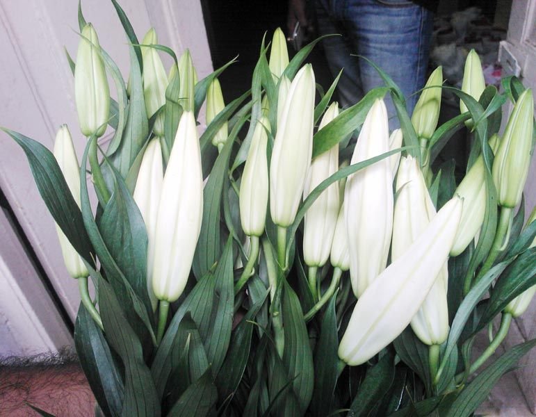 Image 01