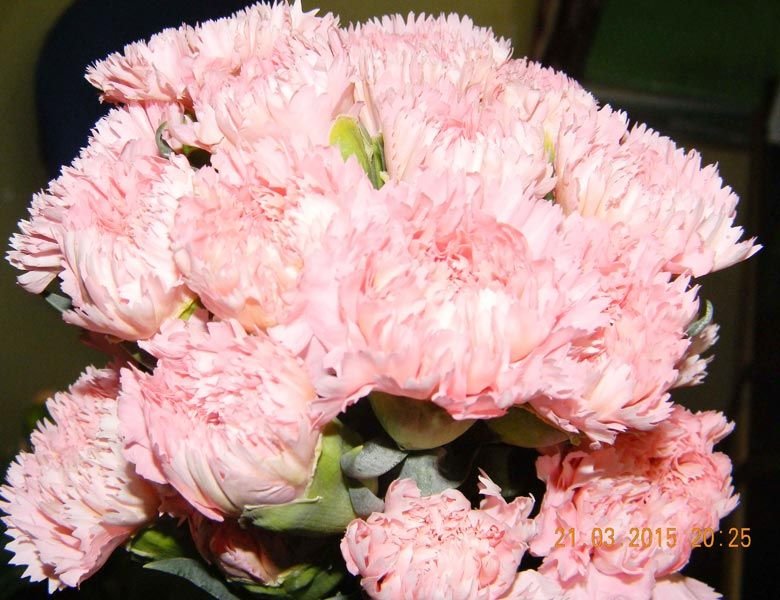 Image 02
