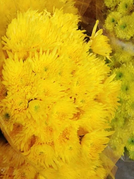 Image 02