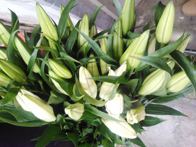 Image 02