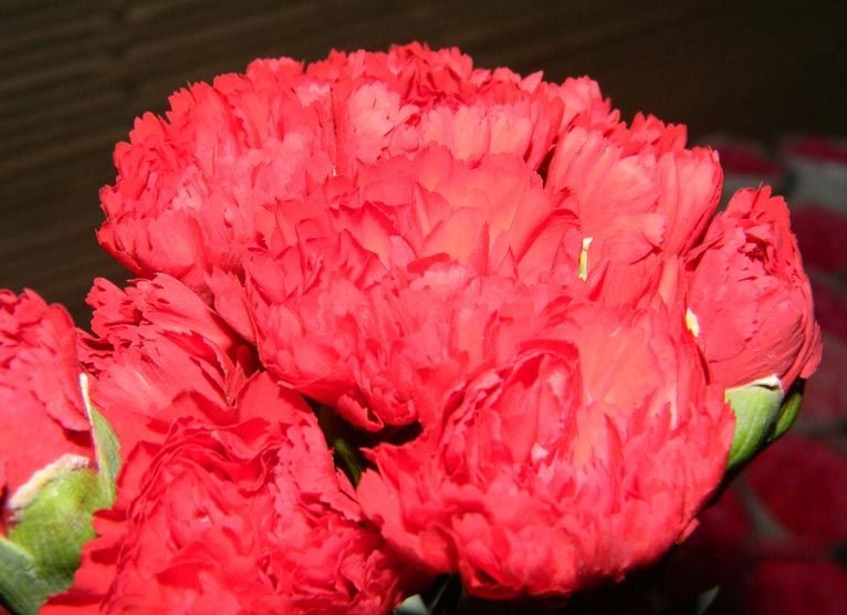 Image 04