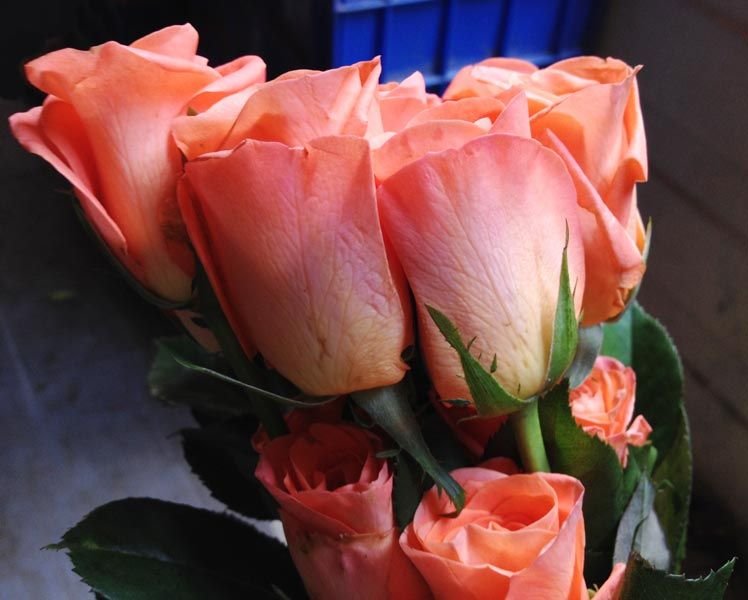 Image 06