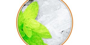 Menthol Crystal Mint