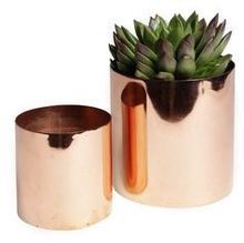 Brass Vases