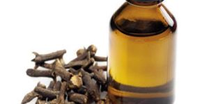 Clove Oil