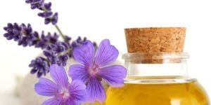 Lavender Oil