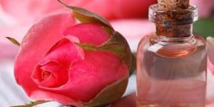 Rose Oil