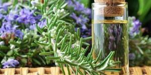 Rosemary Oil