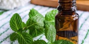 Spearmint Oil