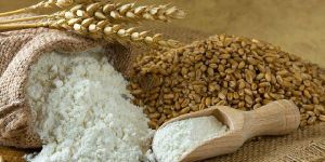 Wheat Flour