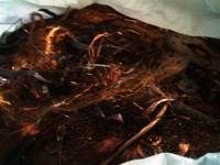 Copper Scrap