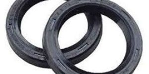 OIL Rubber SEAL