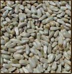 Safflower Seed