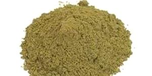 Organic Tulsi Leaf Powder