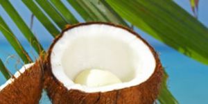 Coconut