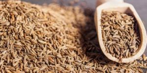 Cumin Seed