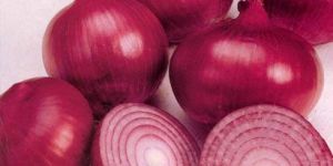Onion