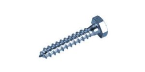 Coach Screw
